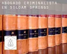 Abogado criminalista en  Siloam Springs