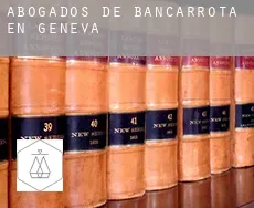 Abogados de bancarrota en  Geneva