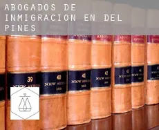 Abogados de inmigración en  Del Pines