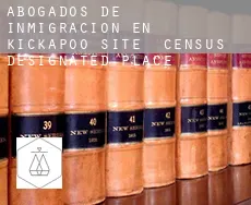 Abogados de inmigración en  Kickapoo Site 1