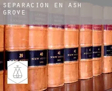 Separación en  Ash Grove