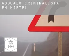 Abogado criminalista en  Hirtel