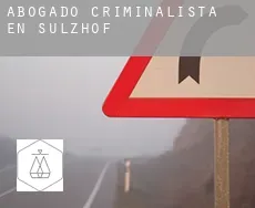 Abogado criminalista en  Sulzhof