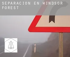 Separación en  Windsor Forest