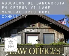 Abogados de bancarrota en  Ortega Village Manufactured Home Community