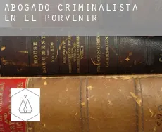 Abogado criminalista en  El Porvenir