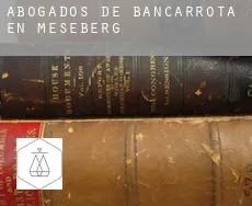 Abogados de bancarrota en  Meseberg