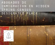 Abogados de inmigración en  Hidden Spring