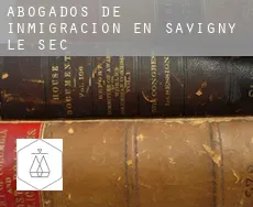 Abogados de inmigración en  Savigny-le-Sec