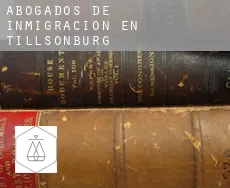 Abogados de inmigración en  Tillsonburg