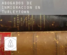 Abogados de inmigración en Turleytown