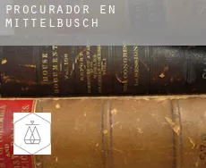 Procurador en  Mittelbusch