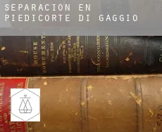 Separación en Piedicorte-di-Gaggio