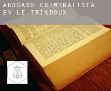 Abogado criminalista en  Le Triadoux