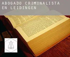 Abogado criminalista en  Leidingen