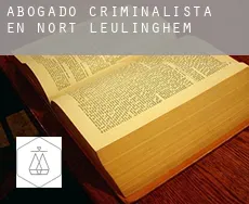 Abogado criminalista en  Nort-Leulinghem