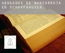 Abogados de bancarrota en  Schaffhausen