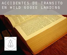 Accidentes de tránsito en  Wild Goose Landing