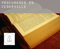Procurador en  Cedarville