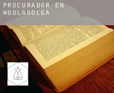 Procurador en  Woolgoolga