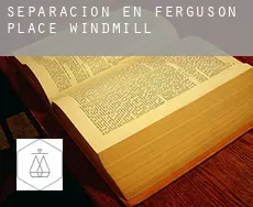 Separación en  Ferguson Place Windmill