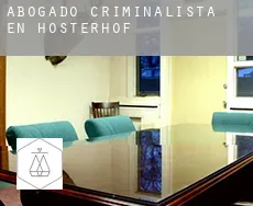 Abogado criminalista en  Hosterhof