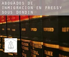 Abogados de inmigración en  Pressy-sous-Dondin