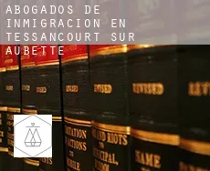 Abogados de inmigración en  Tessancourt-sur-Aubette