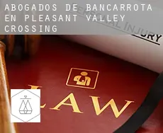 Abogados de bancarrota en  Pleasant Valley Crossing