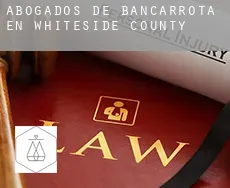 Abogados de bancarrota en  Whiteside County