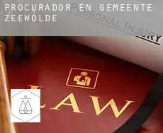 Procurador en  Gemeente Zeewolde