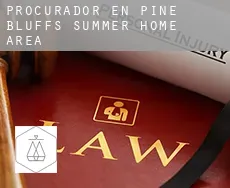 Procurador en  Pine Bluffs Summer Home Area