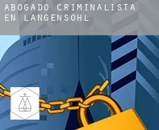 Abogado criminalista en  Langensohl