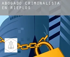 Abogado criminalista en  Rieplos