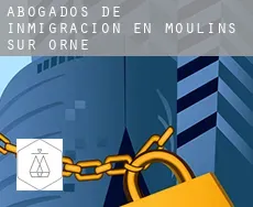 Abogados de inmigración en  Moulins-sur-Orne