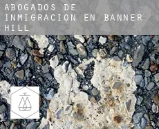 Abogados de inmigración en Banner Hill