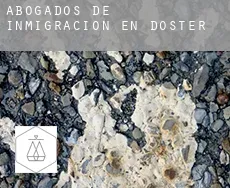 Abogados de inmigración en Doster