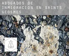 Abogados de inmigración en  Saints-Geosmes
