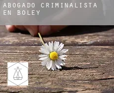 Abogado criminalista en  Boley