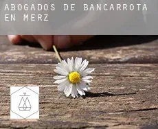 Abogados de bancarrota en  Merz