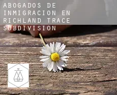Abogados de inmigración en  Richland Trace Subdivision