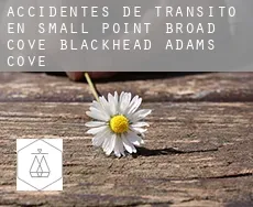 Accidentes de tránsito en  Small Point-Broad Cove-Blackhead-Adams Cove