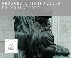 Abogado criminalista en  Königerode