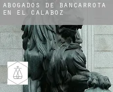 Abogados de bancarrota en  El Calaboz
