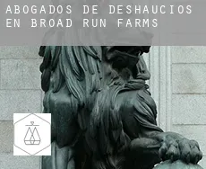 Abogados de deshaucios en  Broad Run Farms