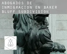 Abogados de inmigración en  Baker Bluff Subdivision