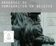 Abogados de inmigración en  Bélgica