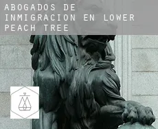 Abogados de inmigración en  Lower Peach Tree