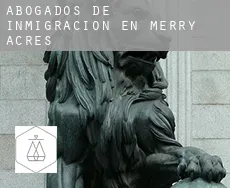 Abogados de inmigración en  Merry Acres