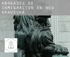Abogados de inmigración en  Neu Krauscha